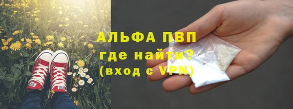 стафф Аркадак