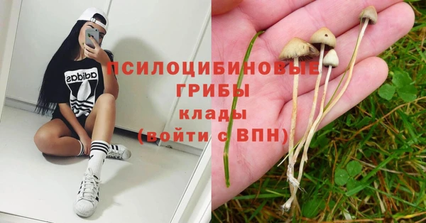 винт Баксан
