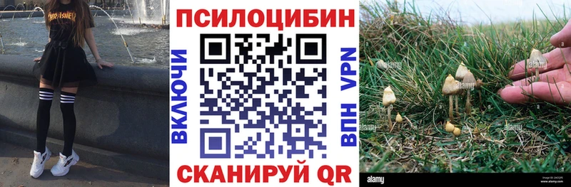 Галлюциногенные грибы Magic Shrooms  где можно купить наркотик  Облучье 